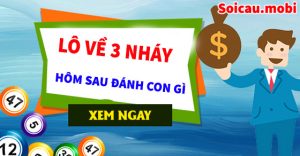 Lô về 3 nháy hôm sau đánh con gì chuẩn nhất