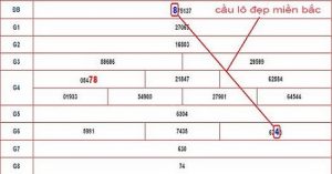 cau lo dep nhat hom nay 1 Tiết lộ cầu lô đẹp nhất hôm nay tỉ lệ trúng cực cao