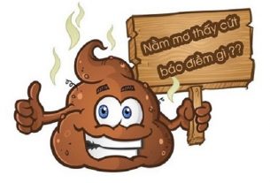 Mơ thấy cứt nên đánh con gì