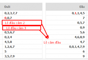 Lô câm đầu